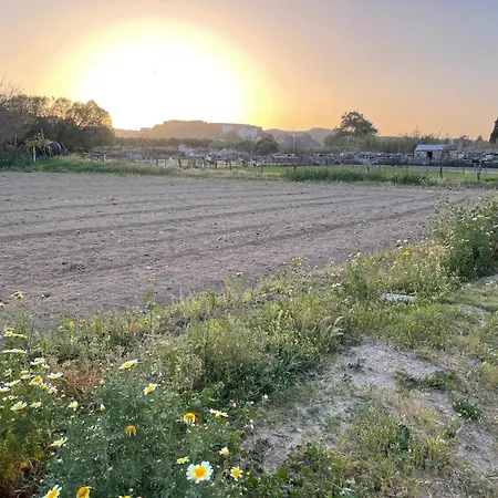 Efi 2 * Kardamena (Kos)