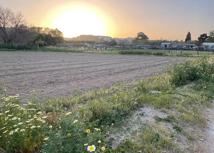 Efi 2 * Kardamena (Kos)